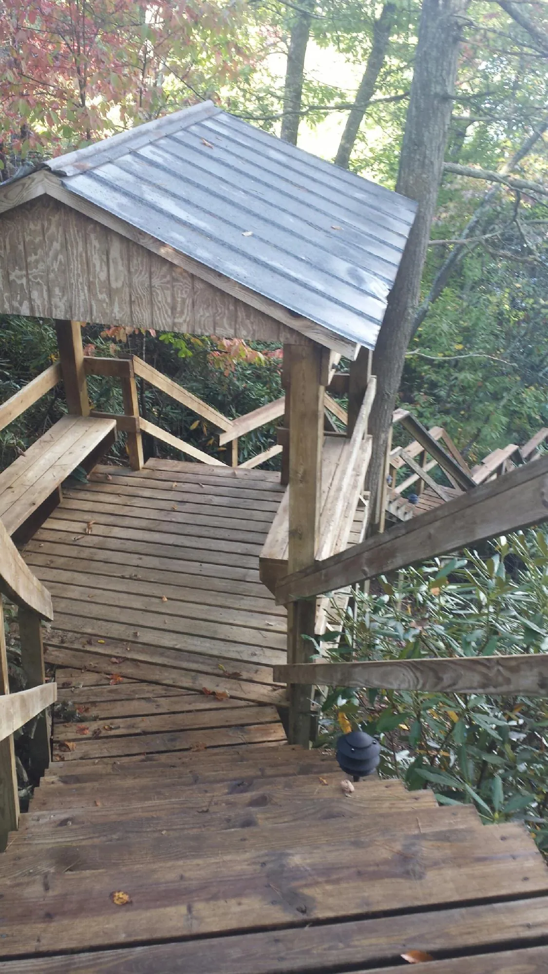 Metal roofed shelter over wooden steps on a wooded walkway — Skylight Repair & Installation work by our crew in Sequim