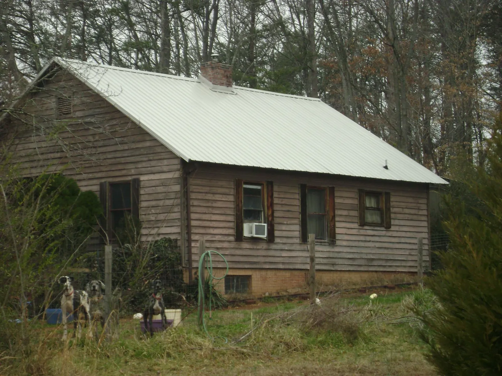 White metal roof on an old wood sided farmhouse, from a Metal Roof Installation job in Sequim